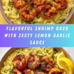 Shrimp Orzo Lemon Garlic Sauce: A Delicious & Easy Recipe