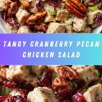 Cranberry Pecan Chicken Salad Recipe